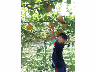 子供さんでも簡単に狩れます!