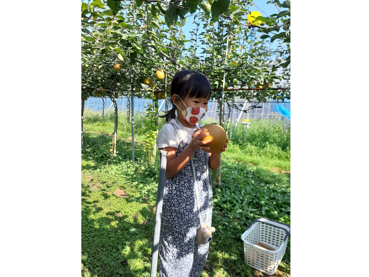 傫̂́AT݂łƂĂył