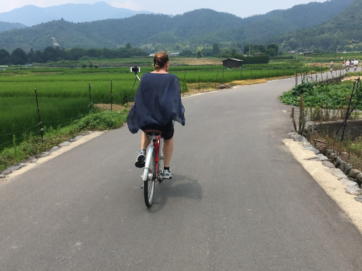 シティバイクハイクラス（8段変速） 京都を駆け巡りたい
