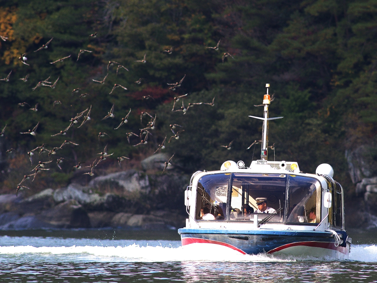 【冬季】大パノラマに広がる渓谷美 豊かな自然と奇岩を巡る<30分周遊クルーズ>