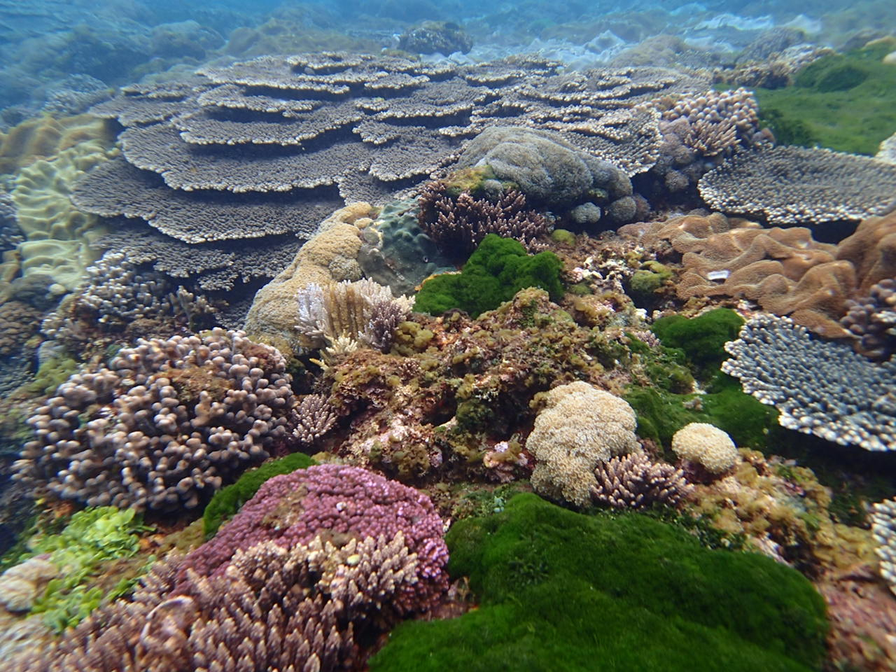 ��������y������C���̐��E�����y���݂�������(^^��(�C�c�A�[��)