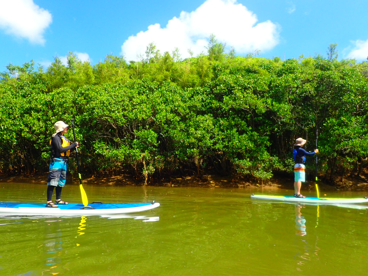 �}���O���[�uSUP(�}���O���[�u�c�A�[��)