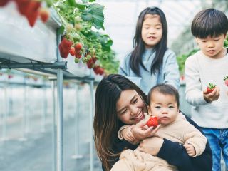 ご家族でゆっくりお楽しみいただけます。