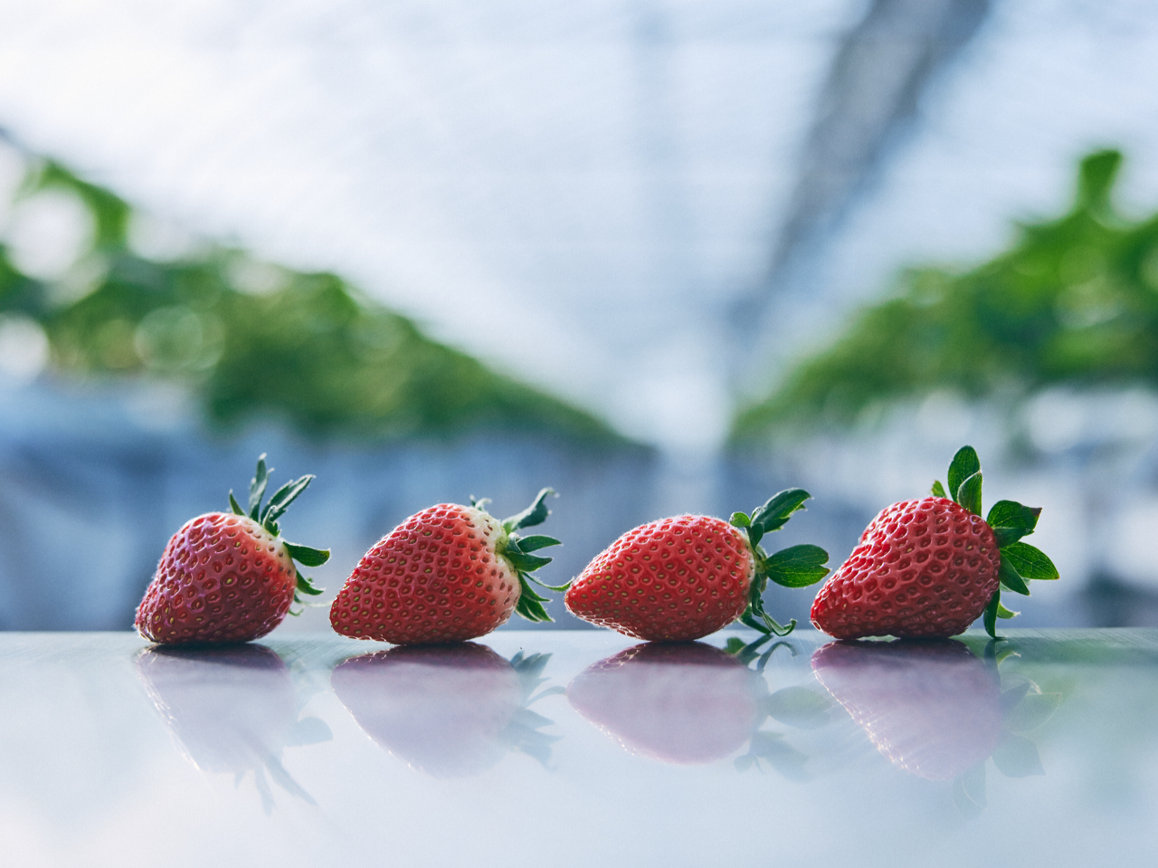 ڂقȂ5ނ́uƂvy݂܂I