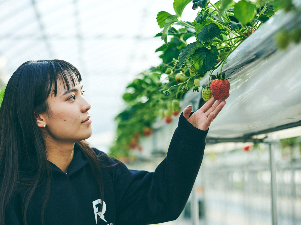 MĂqlɁuƂv͂ł悤AX̕iǗOꂵĂ܂B