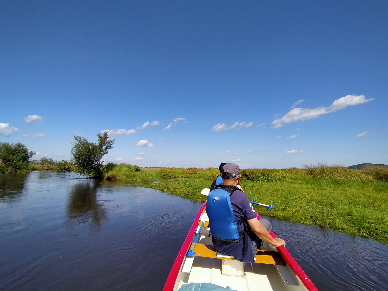 TT̐̂̓XQłB̗Nnтɐ܂Bƌ肩Ă܂I