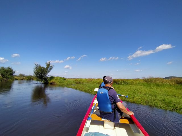 サラサラした草の正体はスゲです。湿原の湧き水地帯に生えます。風が吹くと語りかけてくれます!
