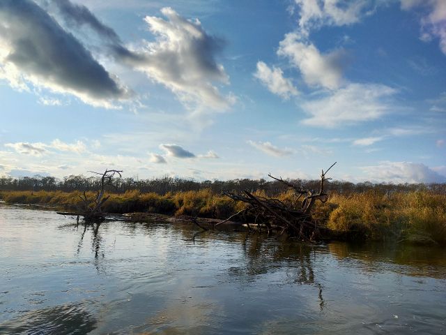 枯れ木が似合う湿原。どこまでも続く空や草原も魅力。破壊と再生をひたすら繰り返し何かを教えてくれます。