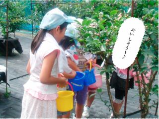 夏が旬 食べ放題 豊かな自然の中で当園自慢のブルーベリーをご堪能ください 美祢ブルーベリーガーデン 美祢ブルーベリーガーデン じゃらん遊び体験 夏が旬 食べ放題 豊かな自然の中で当園自慢のブルーベリーをご堪能ください 美祢ブルーベリーガーデン 美祢ブルーベリーガーデン じゃらん遊び体験