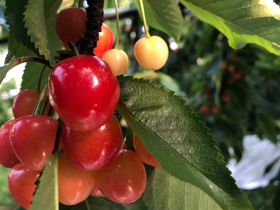 �嗱�ŊÁ`���������ځ�