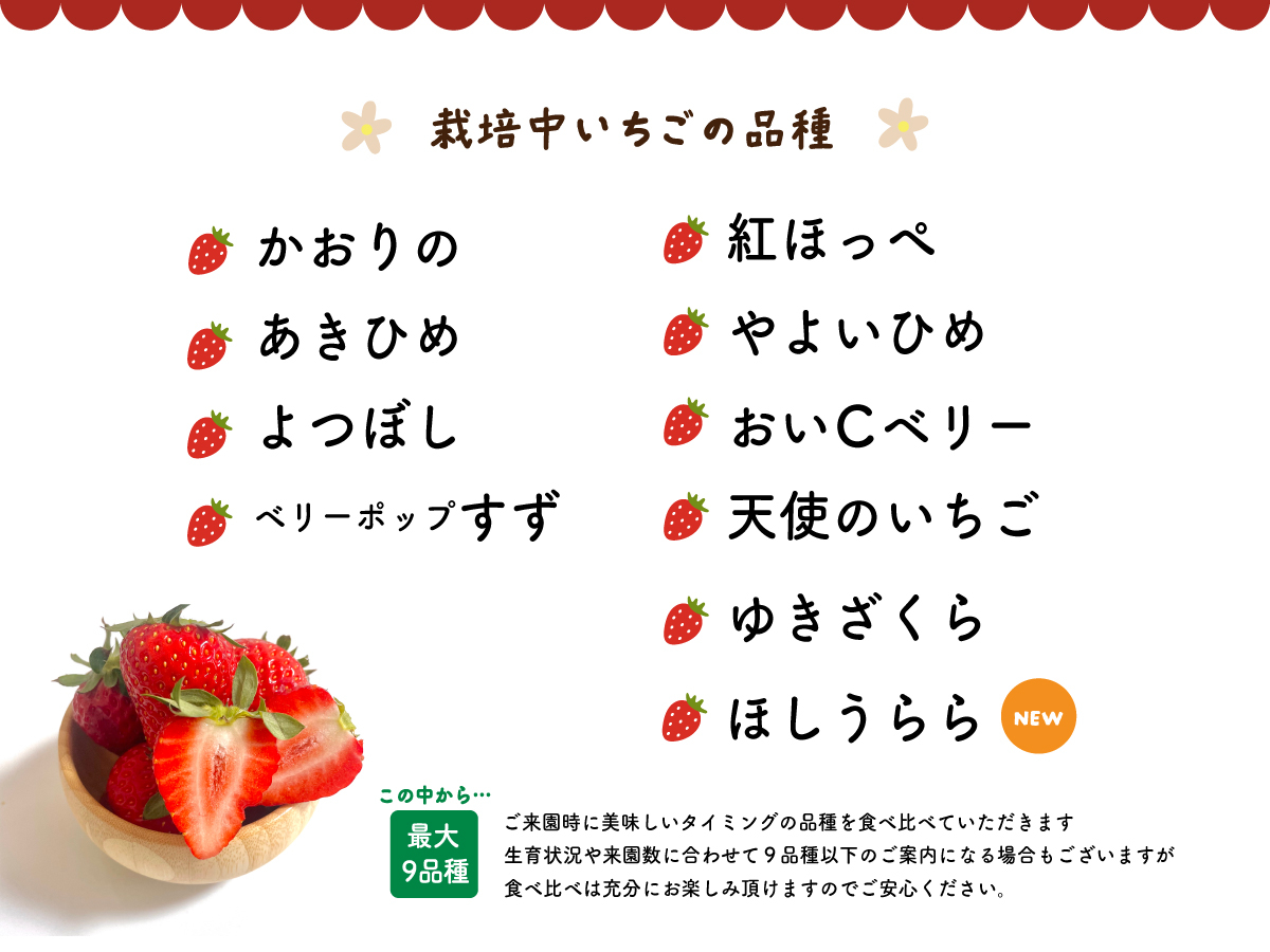 超直前割!!】☆果物狩り部門関西1位受賞☆最大10品種のいちごを60分間