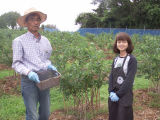 6月26日(土)開園致します。皆様もお越しを心よりお待ちしております!