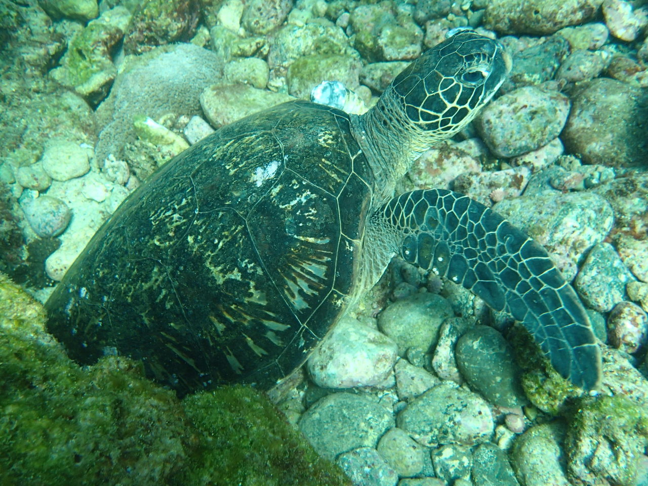 �A�I�E�~�K�������o�}���I