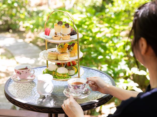 木漏れ日の下でアフタヌーンティーを楽しめます。※写真のアフタヌーンティーセットはイメージです。時期によって内容は変動いたします。