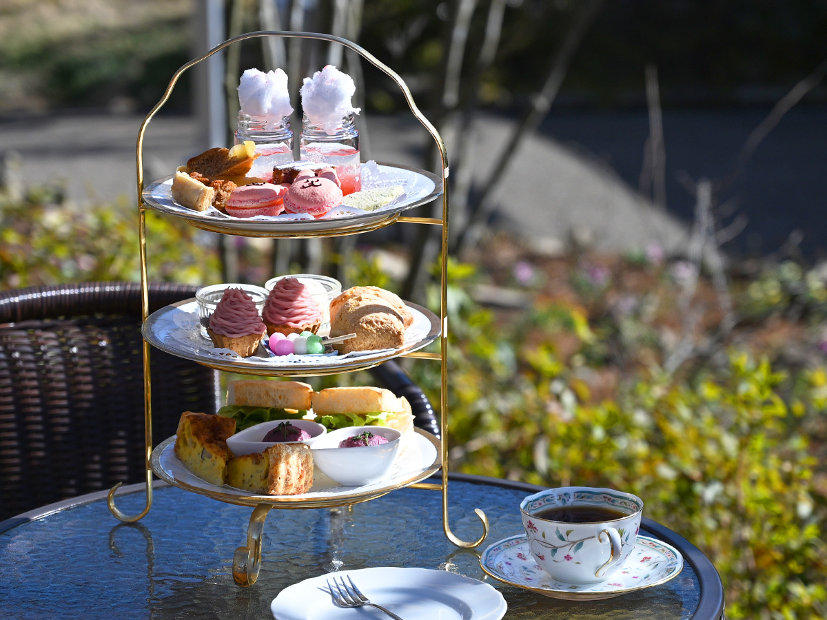 �y3/1�`4/30�z�؂₩�ȐF�������t�炵���A�t�^�k�[���e�B�[�����p�ӂ��܂����B