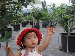 小さなお子様も手が届く高さで体験できます♪