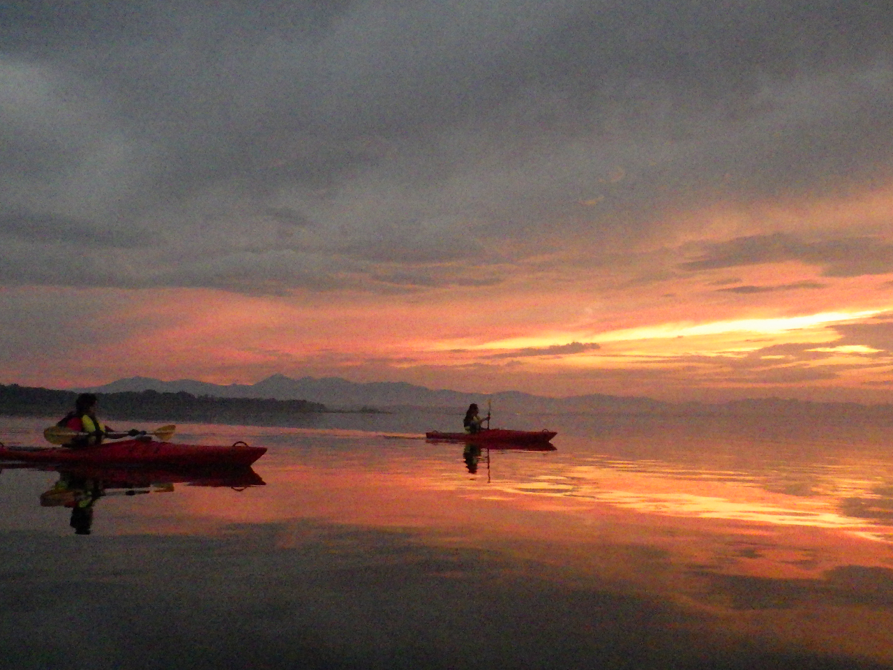 ǂǂς̐FÃcA[̖ʔł܂