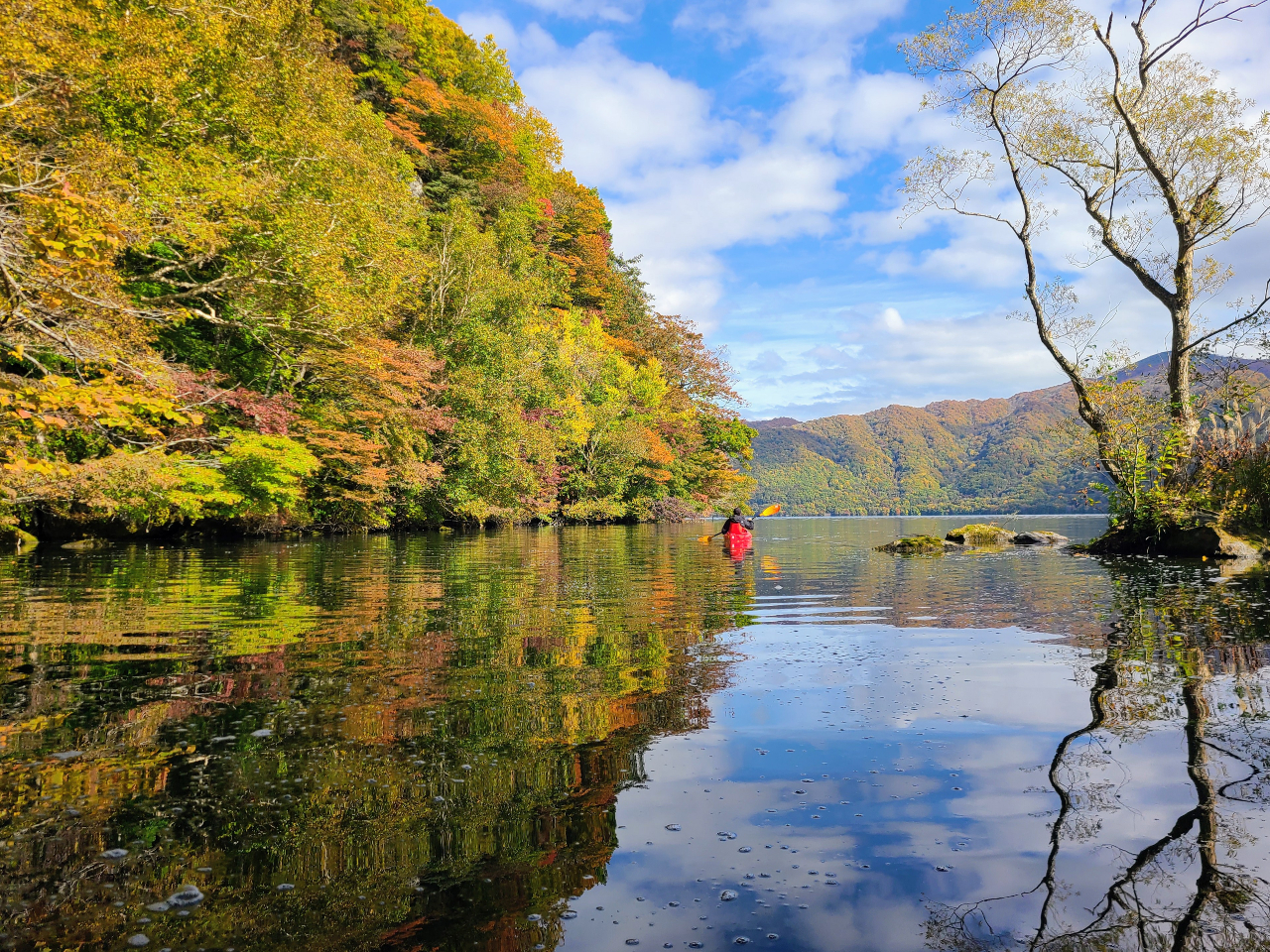 水上から眺める十和田湖 一組限定のプライベートツアー