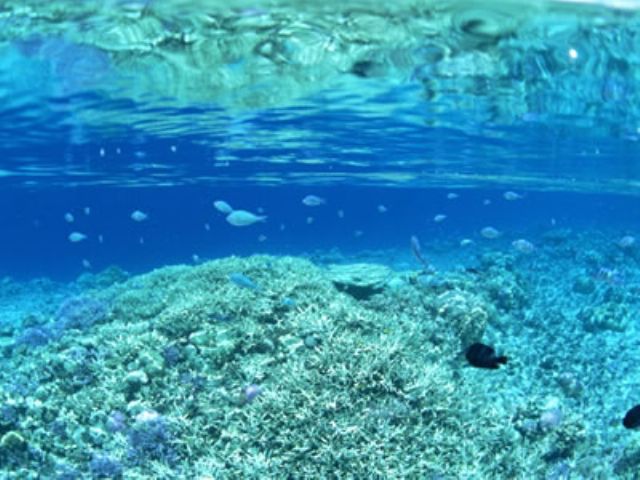 坊津の綺麗な海をご堪能ください♪