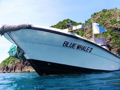 BLUE WHALE のボートに乗って出発!