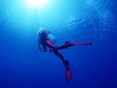 Scuba Proshop BLUE WHALE�̎ʐ^2