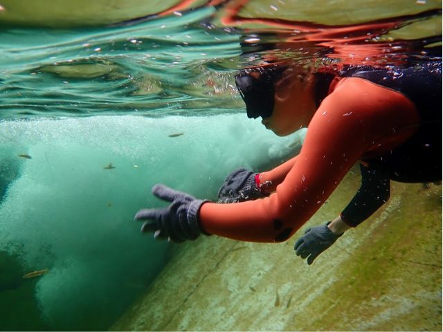 強者は、素手で捕まえます(;^_^A