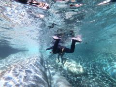 水の中の様子でーす