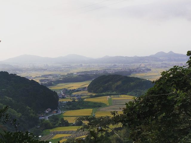 高台からの眺め