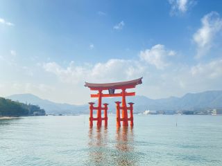 海上にそびえ立つ厳島神社の大鳥居!木造の鳥居としては日本最大級です。