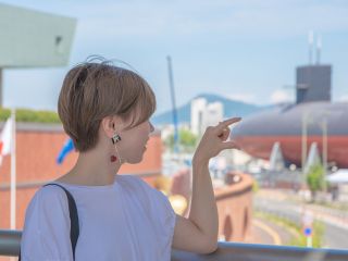 陸にあがった鉄のくじら