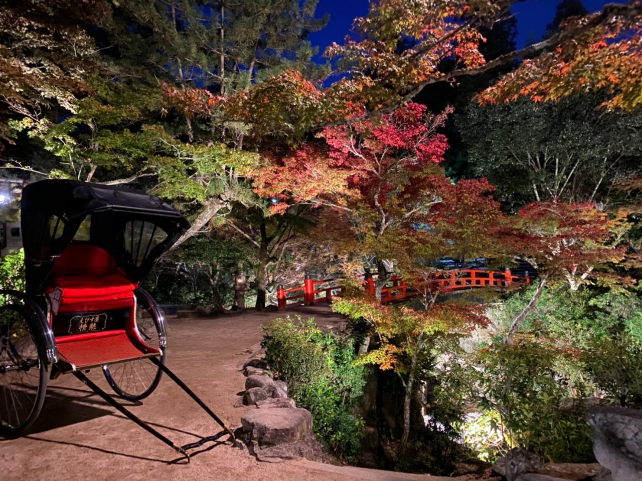 �g�t�J�����E�L���̍���ʐ^�̃X�|�b�g�ł���