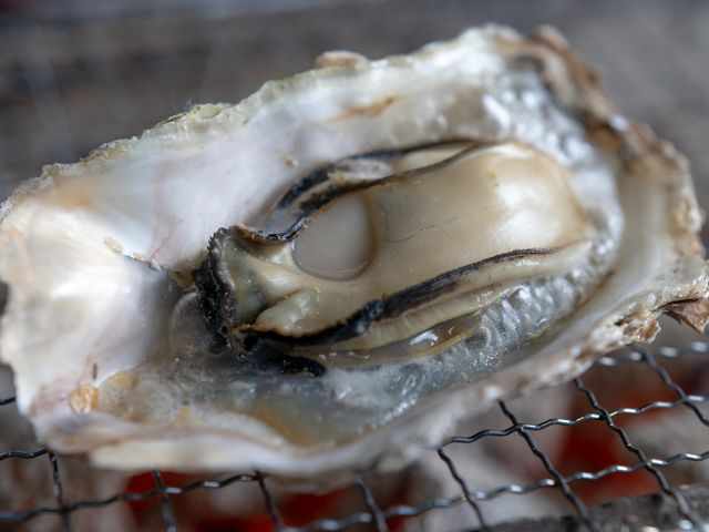 �k�̂܂܏Ă��āA���ݖ��𐂂炵�ď����オ���Ă��������I