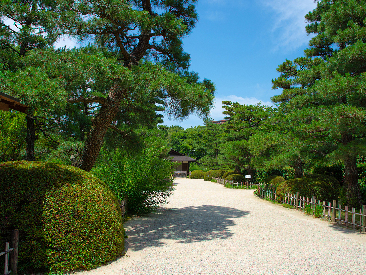 �k�i���E�s�X�n�ł��鎖��Y�ꂳ���뉀������܂��B