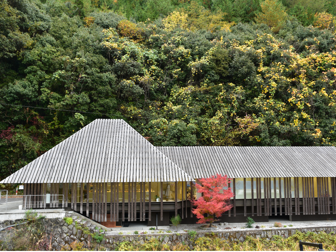 �R�����ɔ������a�̌������E�ڍՃX�g�A