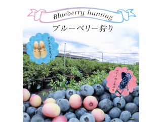シートを敷いておりますのでサンダルもベビーカーもOK