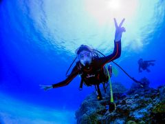 宮古島市のスキューバダイビングランキングtop10 じゃらんnet