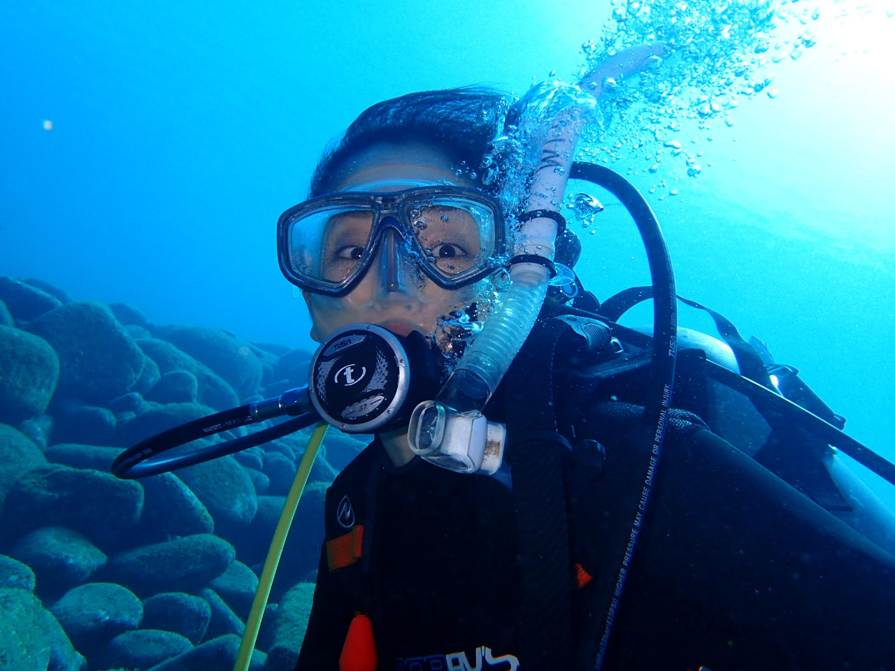 【初めての方大歓迎☆体験ダイビング】◆\安全第一で1ダイブ/海のきれいな伊豆で潜...