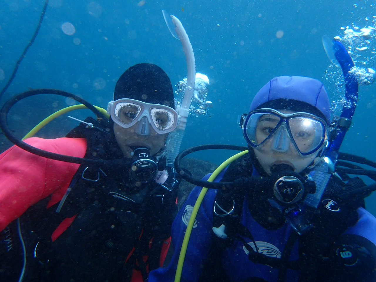【ダイビングライセンス☆Cカード講習プラン】◆\今日からダイバーデビュー/海のき...