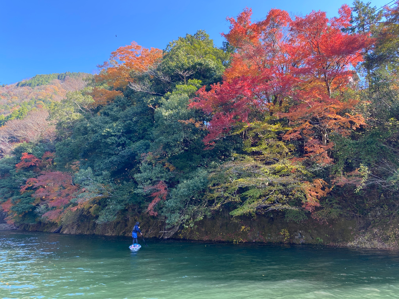 �H�͌Ώォ��g�t���y���ނ��Ƃ��ł��܂��I