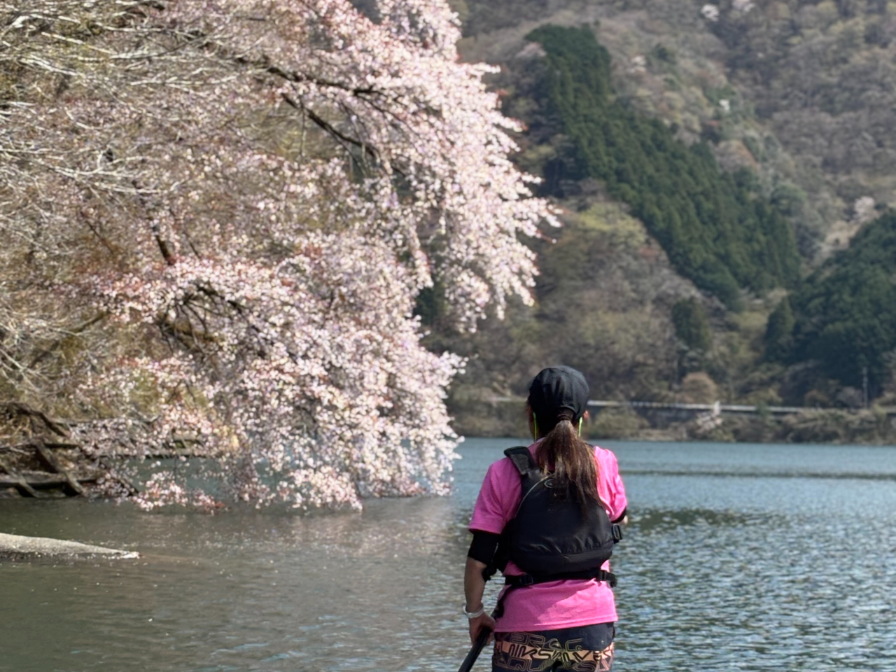 4���̏��{����c�Ƃ��Ă܂��I�t�͊ԋ߂Ō������̉Ԃ������ł��I