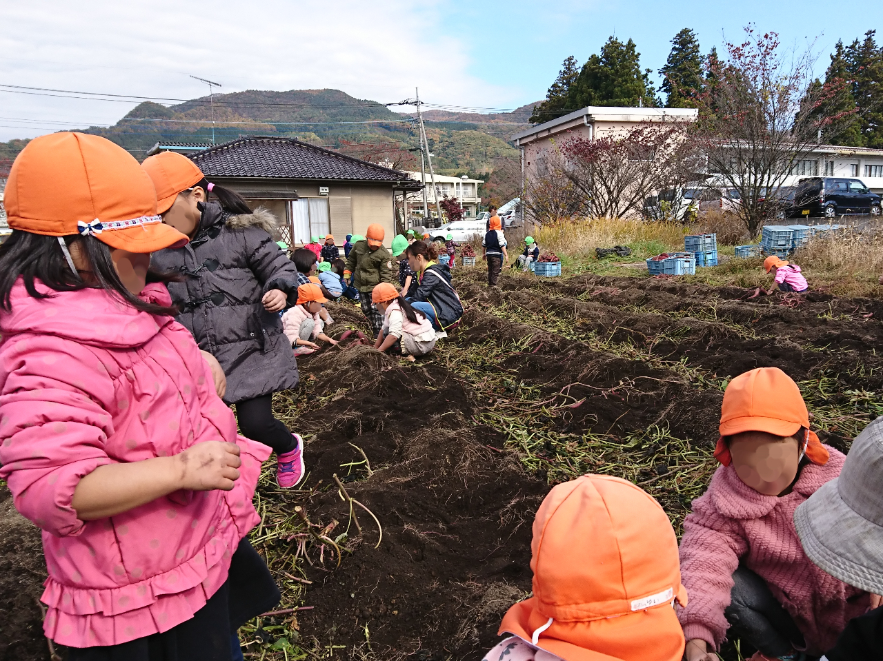 お子さんやお孫さん、友だちや仲間と、ワイワイ芋ほりしてみませんか?