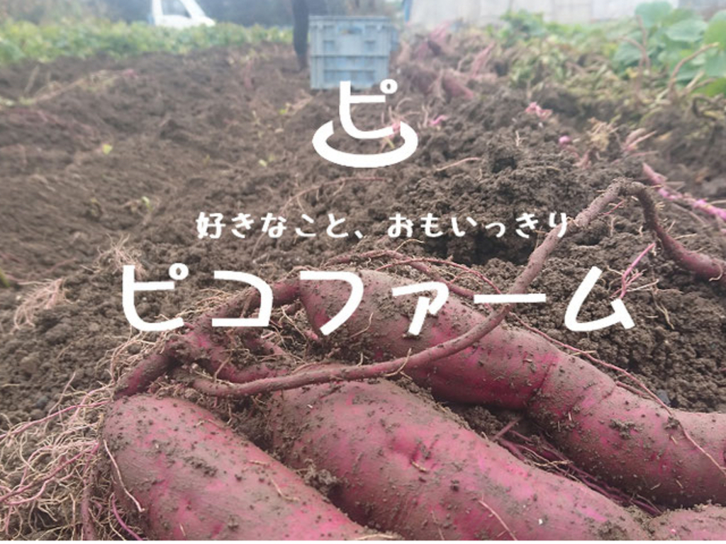 「好きなこと、思いっきり!」がモットーです♪