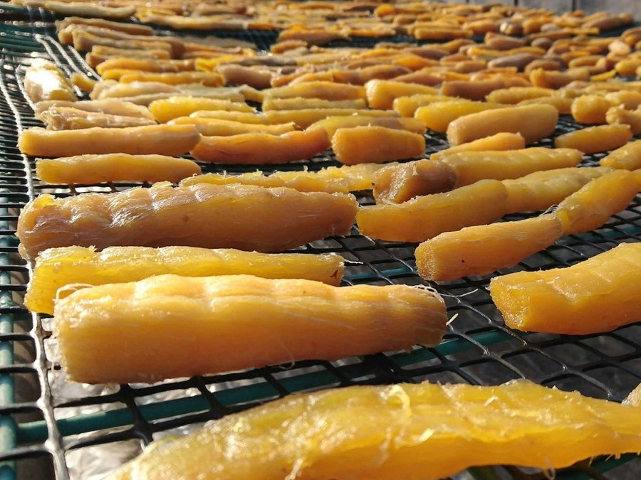 《干し芋加工特典付き》さつまいも掘り体験♪ 自分で収穫したさつまいもを干し芋で美味しくいただこう☆