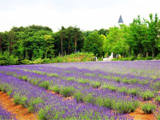 通常期 標高1 000mの大自然 ひるがの高原牧歌の里入園券 ひるがの高原 牧歌の里 じゃらん遊び体験 通常期 標高1 000mの大自然 ひるがの高原牧歌の里入園券 ひるがの高原 牧歌の里 じゃらん遊び体験