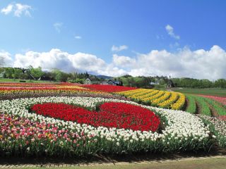 通常期 標高1 000mの大自然 ひるがの高原牧歌の里入園券 ひるがの高原 牧歌の里 じゃらん遊び体験 通常期 標高1 000mの大自然 ひるがの高原牧歌の里入園券 ひるがの高原 牧歌の里 じゃらん遊び体験