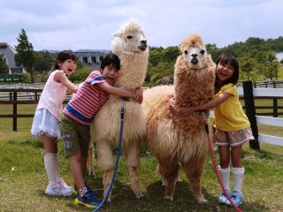 紅葉期 秋色に沿まる大自然 ひるがの高原牧歌の里入園券 ひるがの高原 牧歌の里 じゃらん遊び体験 紅葉期 秋色に沿まる大自然 ひるがの高原牧歌の里入園券 ひるがの高原 牧歌の里 じゃらん遊び体験