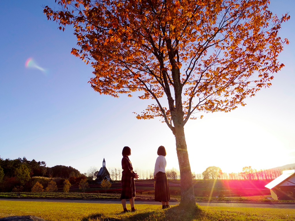 紅葉期 秋色に沿まる大自然 ひるがの高原牧歌の里入園券 ひるがの高原 牧歌の里 じゃらん遊び体験 紅葉期 秋色に沿まる大自然 ひるがの高原牧歌の里入園券 ひるがの高原 牧歌の里 じゃらん遊び体験
