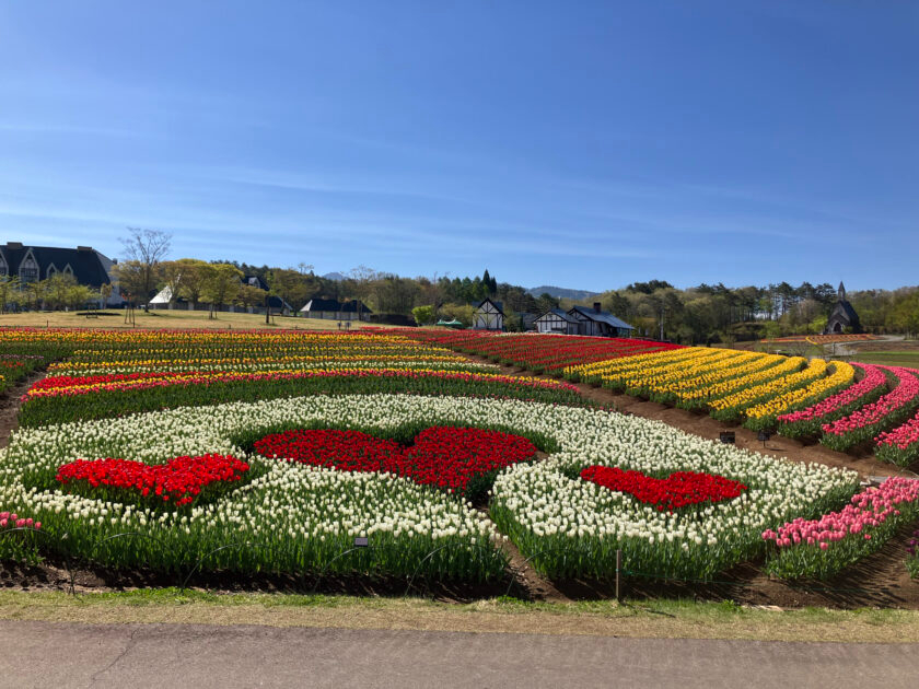 通常期_標高1,000mの大自然<ひるがの高原牧歌の里入園券><お得な100円割...