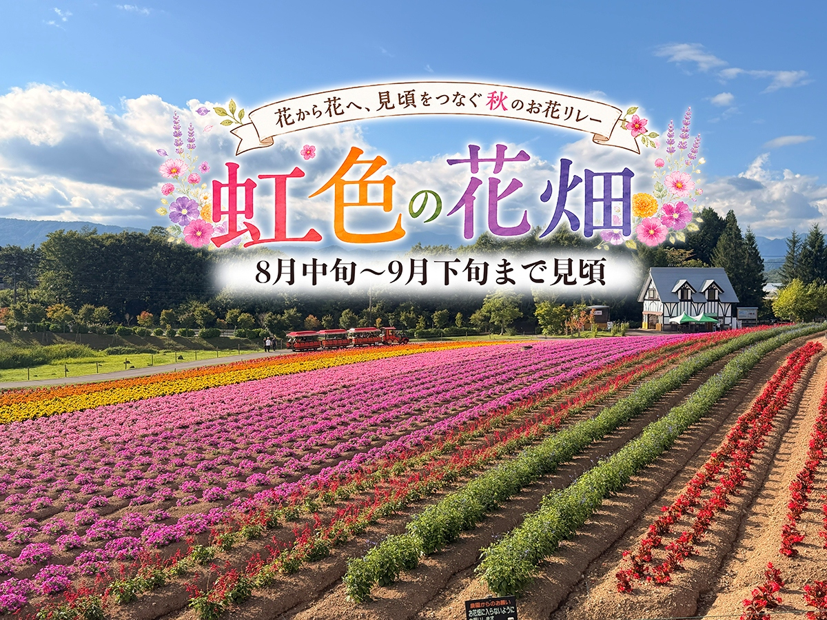 通常期_標高1,000mの大自然<ひるがの高原牧歌の里入園券><お得な100円割...