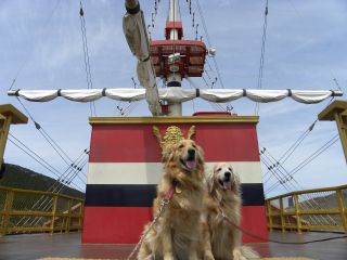 愛犬と一緒に記念撮影♪